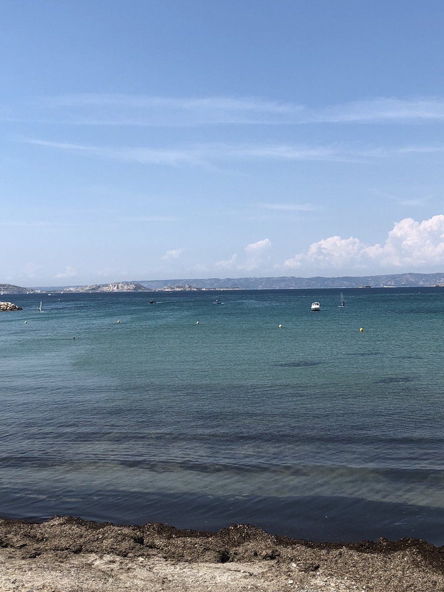 docfromMars's tweet image. Hum, cette couleur jaune pipi ... #PointeRouge #Marseille