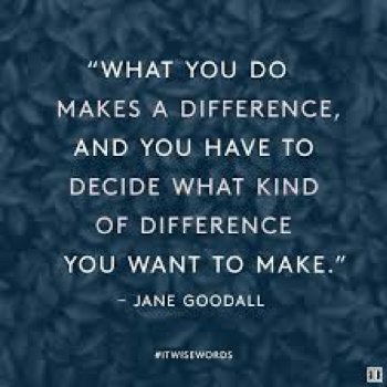 IMPACT 100 INDY (@impact100indy) on Twitter photo 