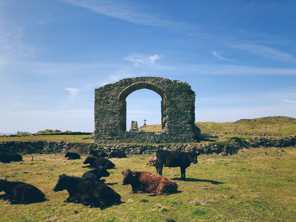 SteWhiite's tweet photo. Exploring Anglesey, North Wales

#NorthWales #Angelsey #Lighthouse #cockerspaniel https://t.co/g3PmaggkGv