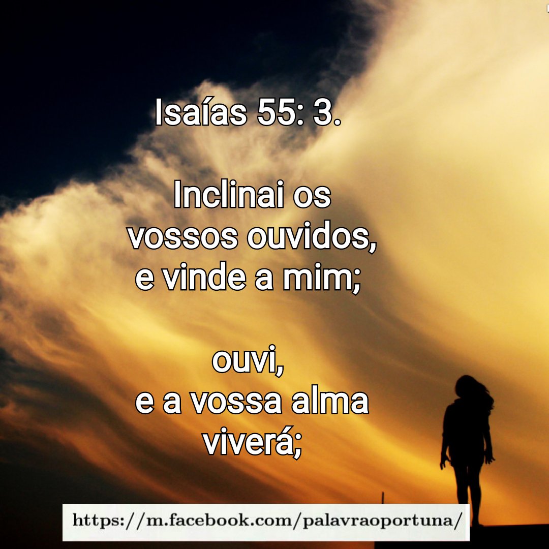 Silvana (@silvana_beta) on Twitter photo 