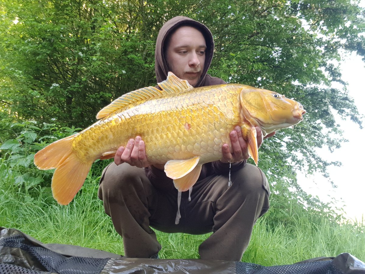 #ResponsiveBaits code doing the work 16.1