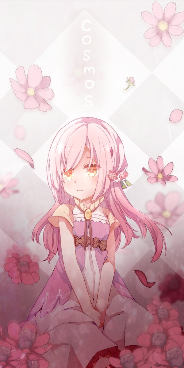 緋色 ひいろ ﾃﾞｷﾀ 花の擬人化 コスモス 花の色の瞳 マリーゴールド 花言葉の性格 白ゼラニウム わたしはあなたの愛を信じない T Co Botoqvp0ga Twitter