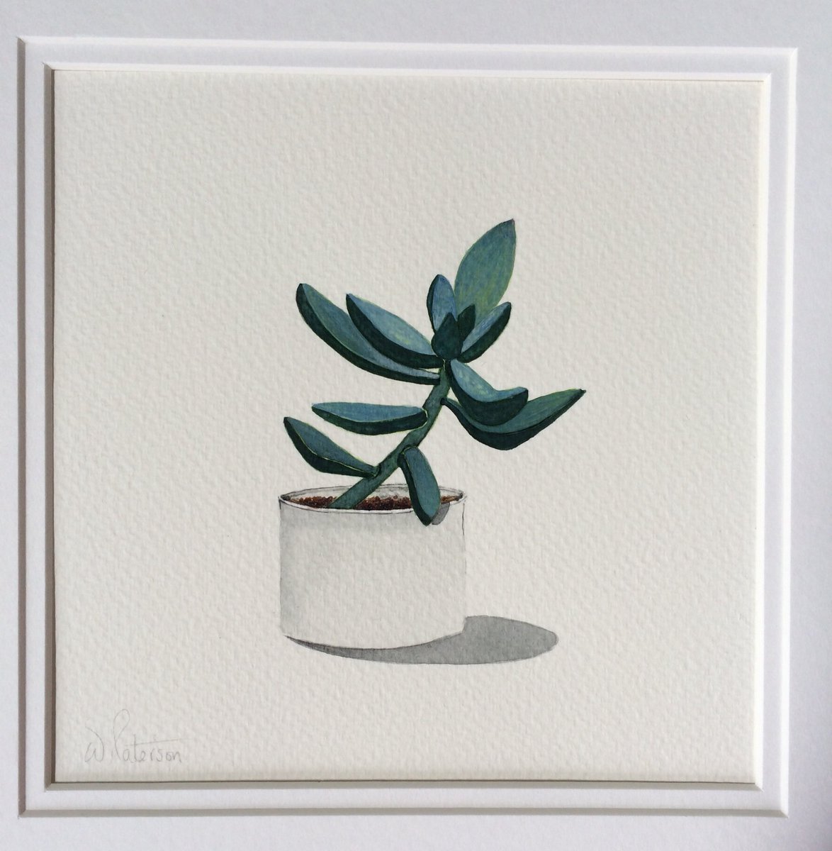 PatersonWillow's tweet photo. Mounting up some watercolour #succulent paintings for #ArtWeekExeter. Fabulous frames supplied by @theframinglot https://t.co/fpA4smEavI