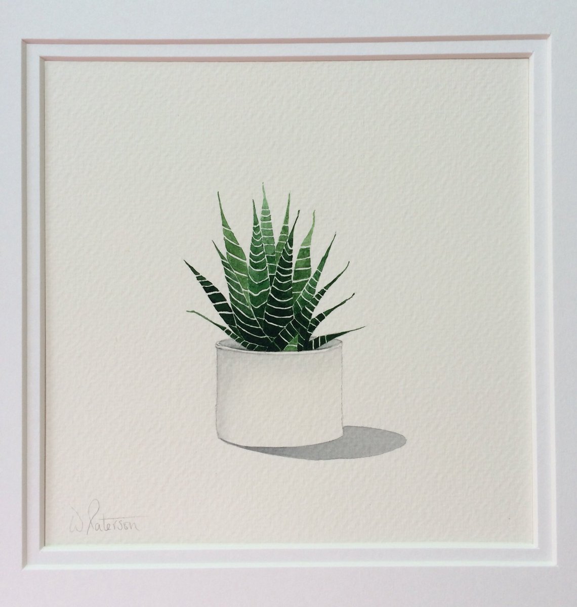 PatersonWillow's tweet photo. Mounting up some watercolour #succulent paintings for #ArtWeekExeter. Fabulous frames supplied by @theframinglot https://t.co/fpA4smEavI