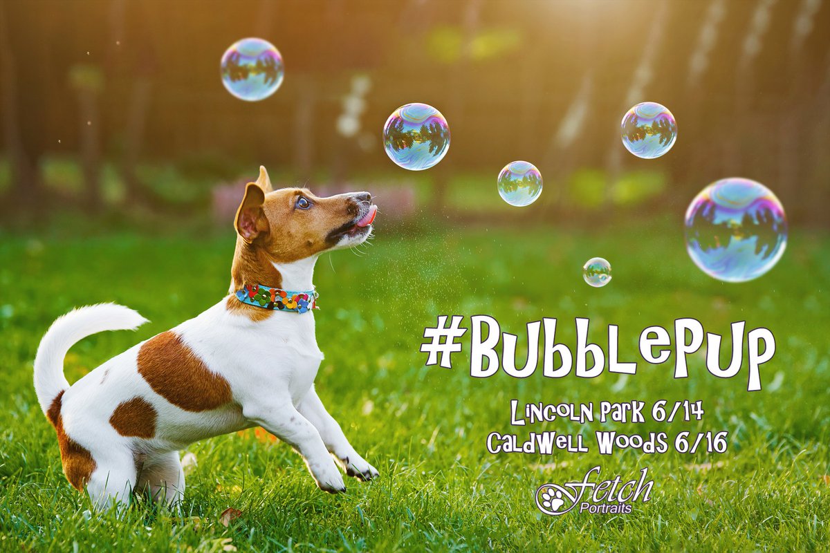 Got Bubbles? We do! Bring us your dog so we can make him a #BubblePup :) fetchportraits.com/so/4MDrPO2T#/m…