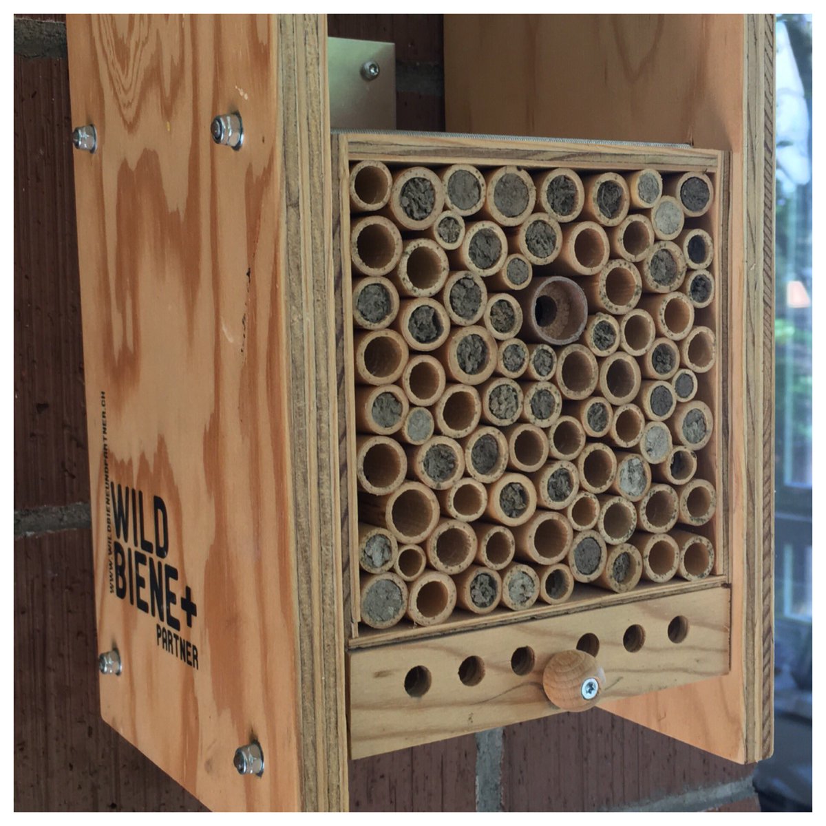 RobertFinger1's tweet photo. #Weltbienentag. Neben der Honigbiene gibt es in der Schweiz noch über 600 andere Bienenarten. Das @ETH @usys_ethzh Spinn-off #wildbieneundpartner unterstützt #Wildbienen und #Landwirtschaft https://t.co/l64cb2El9o https://t.co/tE4p2FYRT8