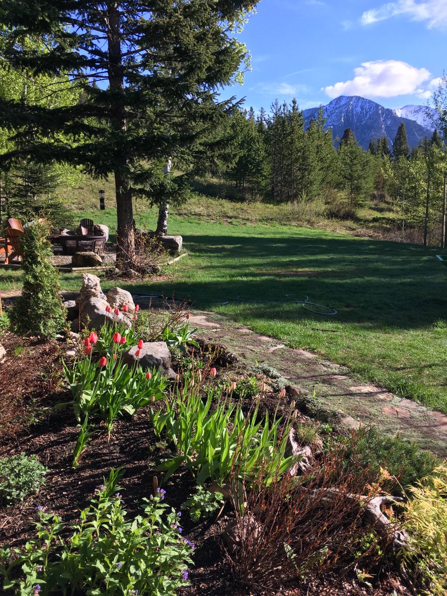 KarenManzer's tweet photo. A stunning morning today full of birdsong and sunshine. #gratefulforspring https://t.co/Ve0XFMXfV3