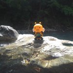 ツイートに含まれる画像