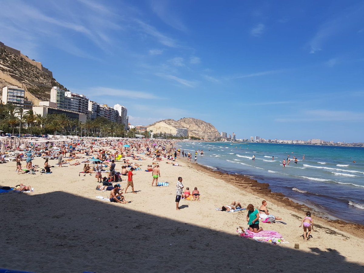 AlicanteSOS's tweet photo. Mientras la histeria colectiva generada por algunos Medios se extiende por las #PlayasSinSocorristas, los bañistas de #Postiguet disfrutan del día en una #PlayaSegura con bandera verde, protegidos por el servicio de salvamento. Miles de bañistas 0 picaduras de #CarabelaPortuguesa https://t.co/yMmk7j5PZX
