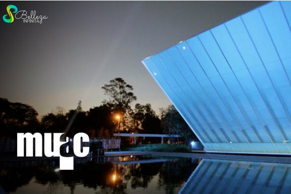 EfNoticiasmex's tweet photo. Retweeted 8 Belleza Infinita (@8BellezaInfinit):

¿Ya tienes plan para este día? en esta semana del museo ve y visita este gran museo que tiene grandes e interesantes exposiciones.💚💙 #8BellezaInfinita #OBI #FelizDomingo

 https://t.co/z8geuuZpRT https://t.co/JieFO852dc