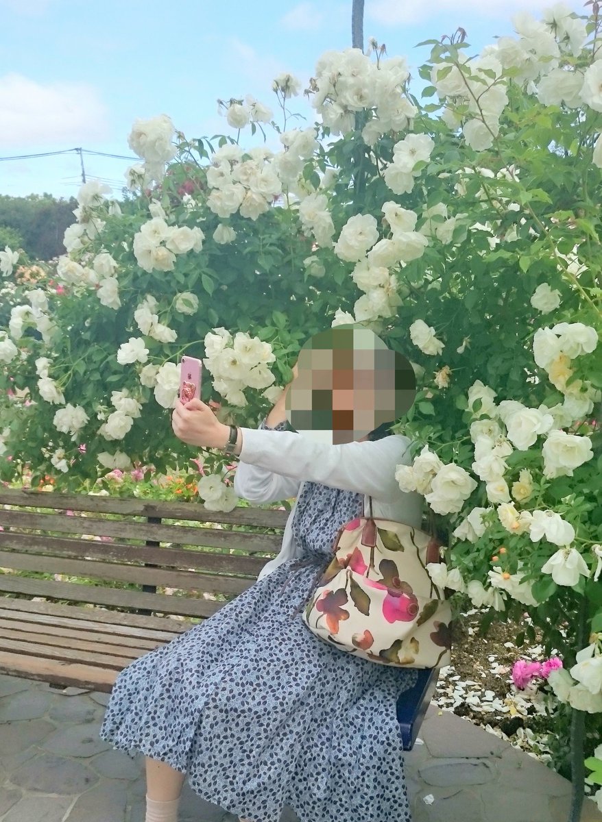 樋口橘 シャンピニオンの魔女 マンガparkで連載中 1 3巻 発売中 今日は久し振りに早朝から夜まで外出で楽しくもクタクタ おやすみなさいの前に バラ園で自撮りに必死なつなみ先生の微笑ましい画像を置いていきます 額縁が美しい絵画のような写真 樋口橘 シャンピニオンの魔女 マンガparkで連載中 1 3巻 発売中 今日は久し振りに早朝から夜まで外出で楽しくもクタクタ おやすみなさいの前に バラ園で自撮りに必死なつなみ先生の微笑ましい画像を置いていきます 額縁が美しい絵画のような写真