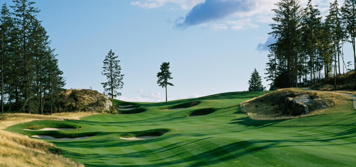 Destination Greater Victoria tweet media