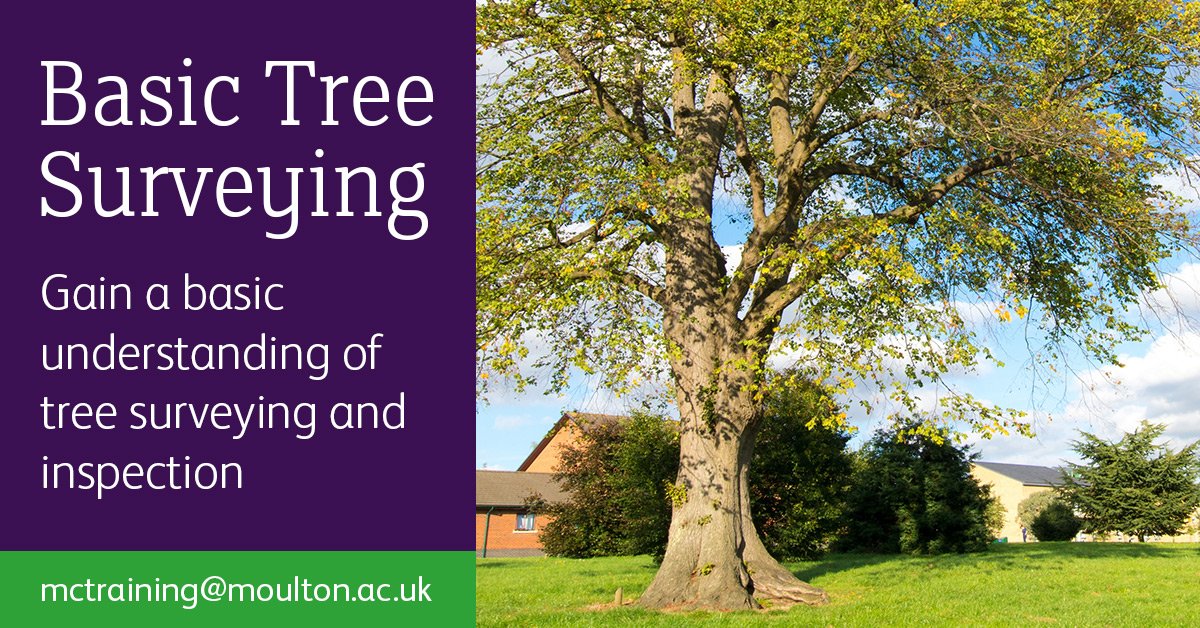 MoultonCollege's tweet photo. Expand your knowledge of trees! Book your place on our Basic Tree Survey course running 9th July 2018 https://t.co/ZEX2JPfIAl #treesurveying #treeinspection #Basictreesurveying https://t.co/osZHzA3ux3