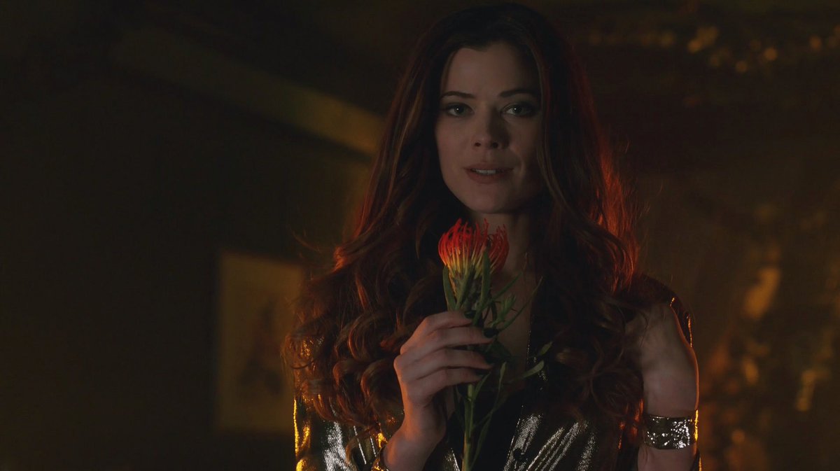 ChrisECollazo's tweet photo. 1. Ivy Pepper become Poison Ivy then somewhat Poison ivy revenge on against Oswald.

2. Bruce Wayne doppelganger clone return.

3. Tabitha Galavan transformation become a TIGRESS.

#GothamSeason5 #Gotham #TabithaGalavan #Ivypepper #PoisonIvy #bruceclone #514A #Tigress @Gotham https://t.co/QOCP7ON3T5