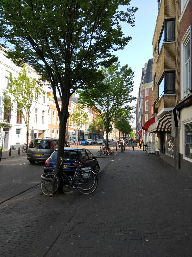 crsalinasg's tweet image. Así deben ir los árboles en las ciudades: Intercalados entre los lugares de autos en vía pública y no en las banquetas. La franja de vegetación y de autos estacionados en vía pública debe ser la misma. #ManualdeCalles