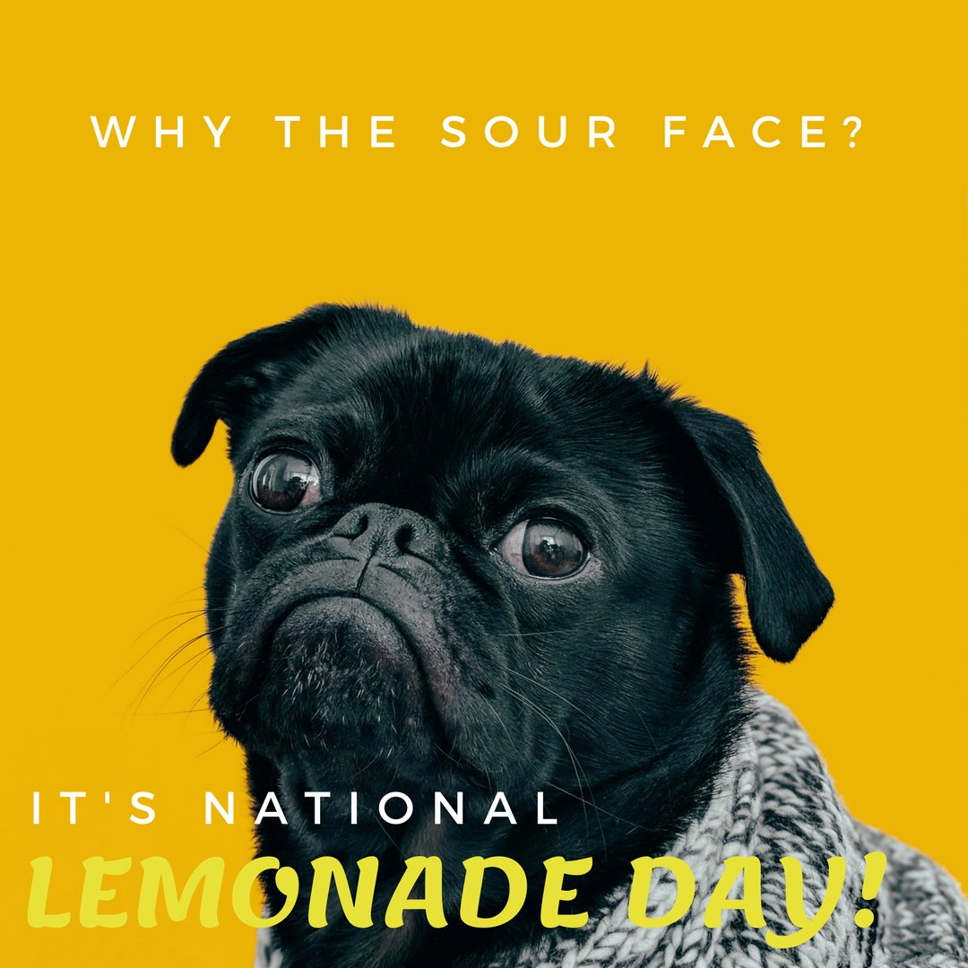 Happy #NationalLemonadeDay! 🍋
#WhenLifeGivesYouLemons #TasteofSuccess #Fresh #Refreshing