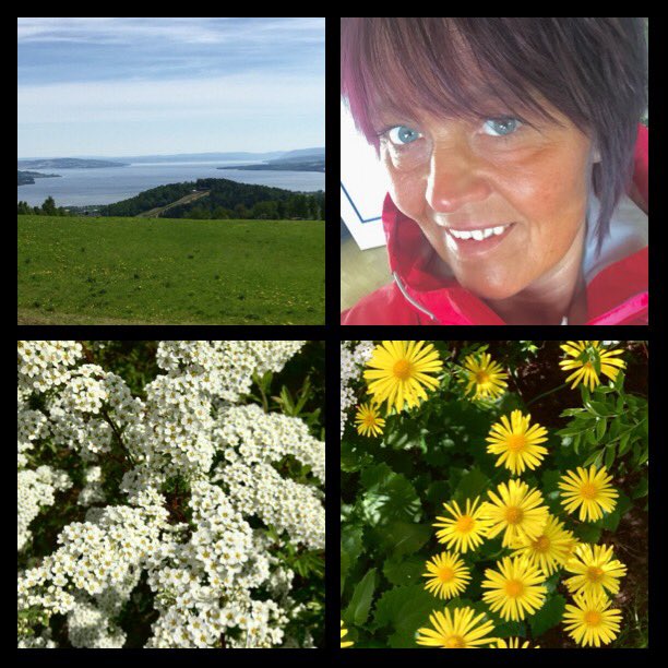 NanRognstad's tweet photo. Sometimes you find yourself in the middle of nowhere, and sometimes in the middle of nowhere, you find yourself.☀️😎#sunny day #livelife #bekind #norway https://t.co/nooyW5TkyJ