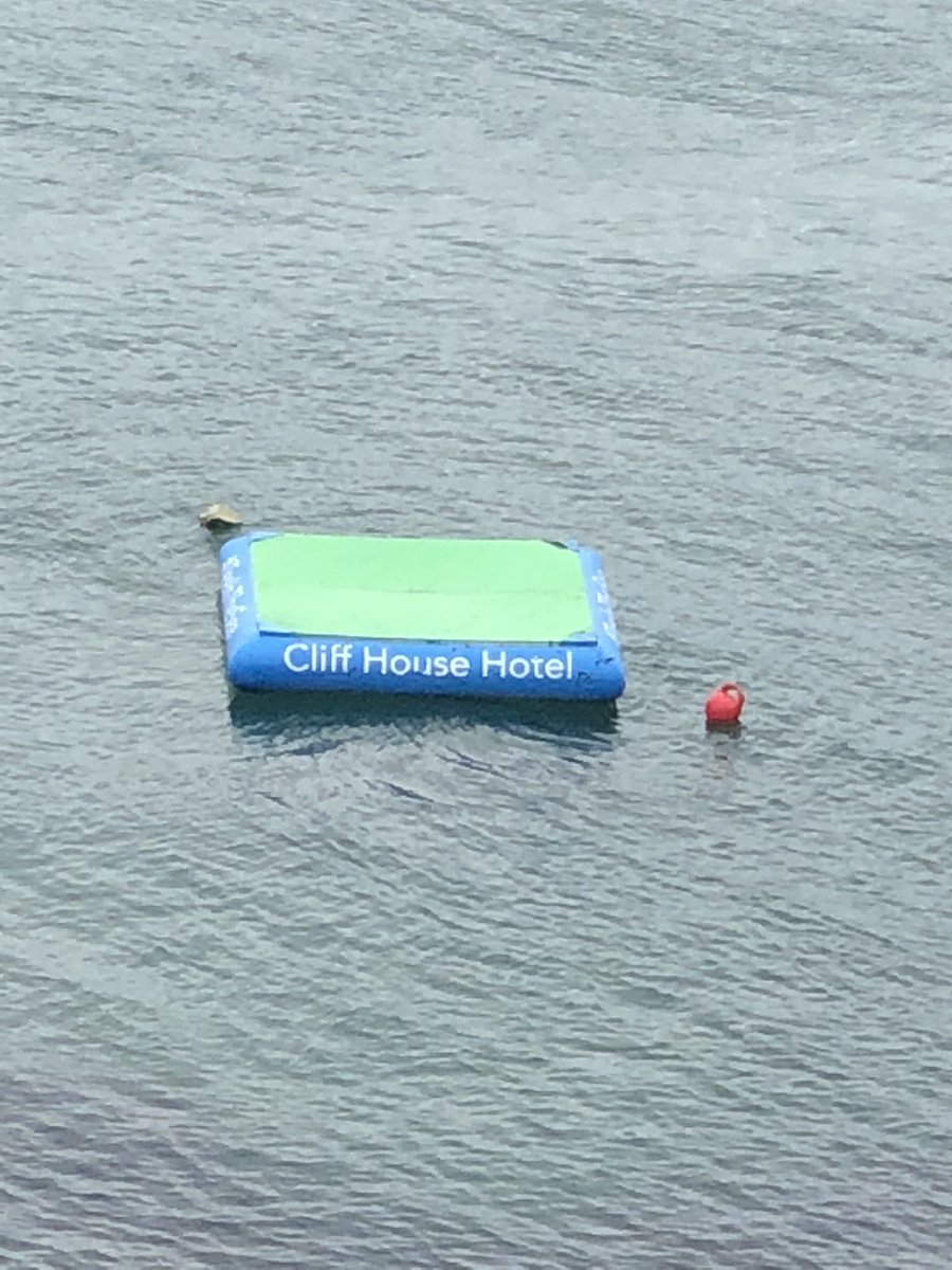 cliffhousehotel's tweet photo. It’s out again! #threewordtweet #IrelandsMostUniqueGolfHole #floatingGreen #summerfun https://t.co/PWFpnET9MG