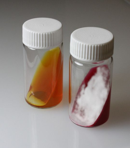 TroyBiologicals's tweet photo. What To Know: DTM Agar Vials
https://t.co/HRDBBYKgnE
#TroyBiologicals #TroyBio #Microbiology #Dermatophytes #PetSafety https://t.co/Lqt2CIIJRz