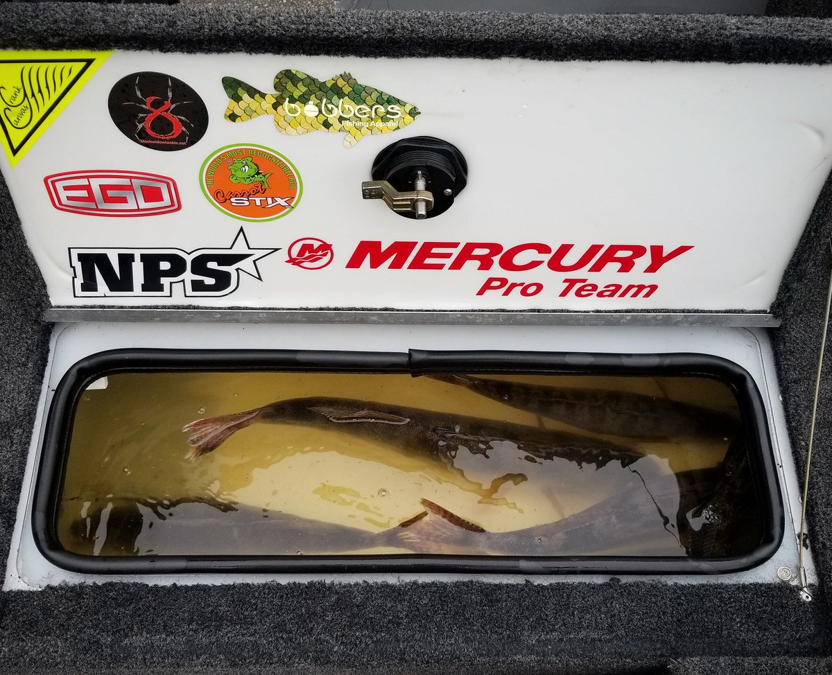 fishingjimmy's tweet photo. Always great when the livewell is full on tournament day! #crankcanvas #bobbersapparel #blackwidowtackle #hannaysmarine #mercuryproteam #egonets #carrotstix #michaelbabbphotography #thatbeardguy https://t.co/P5M6BwZN06