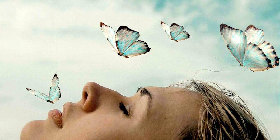 SPIRITU∆L SEEKER tweet media