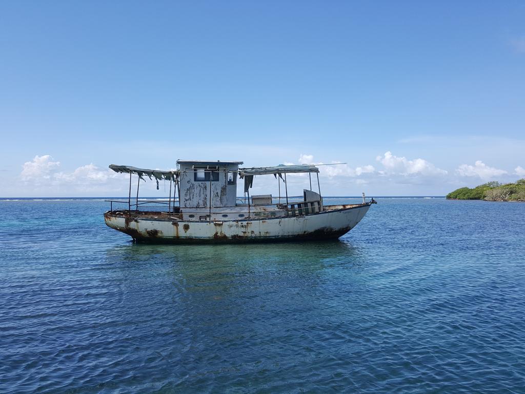DilbertTours's tweet photo. Enjoying today's weather⛅🌴
It's 88°F out today - it's looking pretty bright &amp; feeling a bit fresh (slow winds ) today!)💛
 Happy Sunday to all😊
  #DilbertTours #SundayVibe #Roatan #CaribbeanLife https://t.co/KJr0kdsq4v