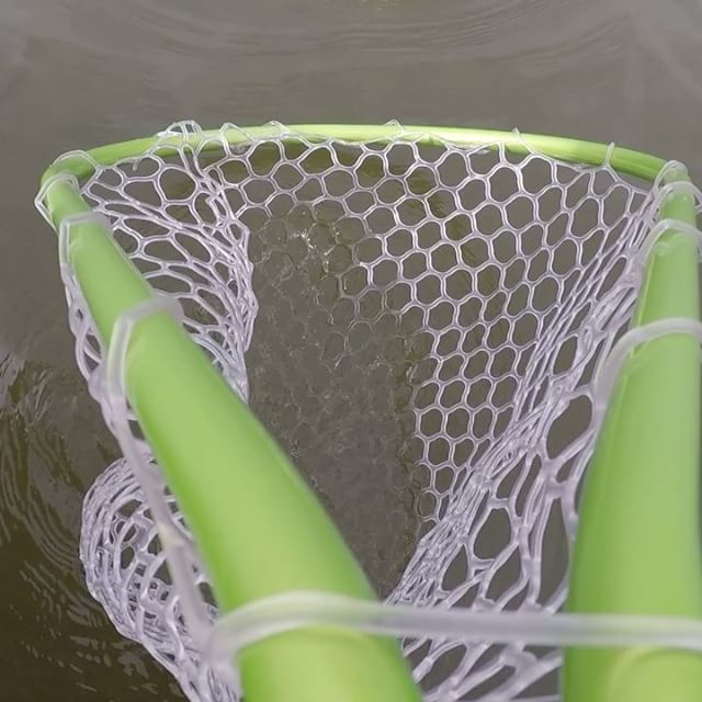 FifieldOutfitrs's tweet photo. You never know what Champlain will serve you up, look what we put in our @catchcamnets !
#CatchCamNets #Carp #CarpFishing #LakeChamplain #Fishing #FishingGuide #BassFishing #ThisIsFishing #FishOn #FishingLife #BigFish #Trophy #BassBoat #Mercury #MotorGu… https://t.co/9CqRGjLjS0 https://t.co/YVpHcv1Lc8