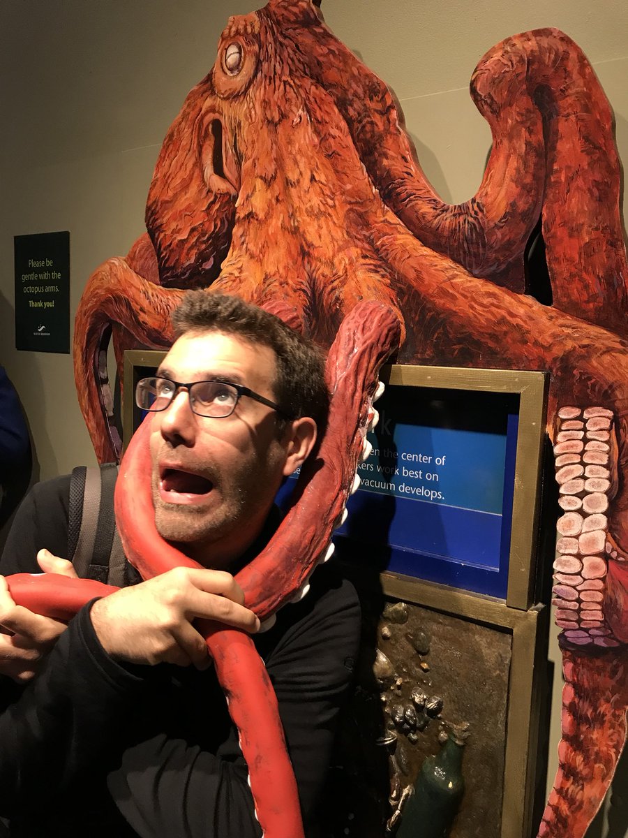 ThisPiggysTale's tweet photo. My fave photo so far from our #weekendinseattle https://t.co/NOQyFspZp8