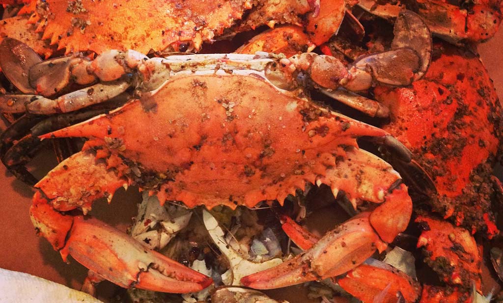 Crabs in Carroll County - The Carroll County, MD Crab Guide - Discover the best sources for crabs in Carroll, carrollcounty.life/2018/05/12/car…  #crabs #CarrollCountyMD #Maryland #Eldersburg #WestminsterMD #oldbay #Chesapeake #Sykesville #marylandcrabs