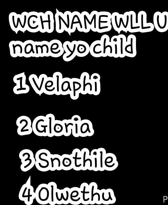 Shmateo🐼Bowles📝 🐼🐯 tweet media