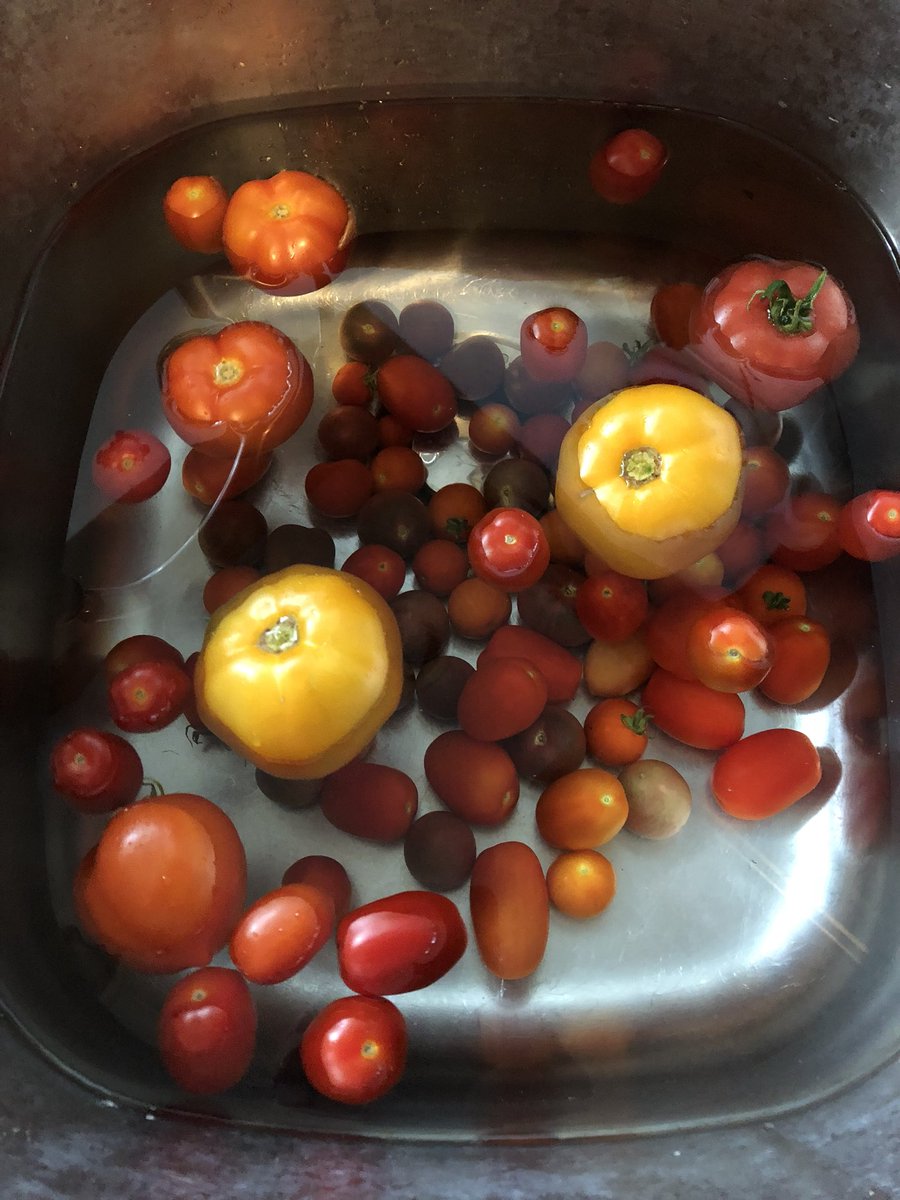 Northampton Veggie Gardeners tweet media