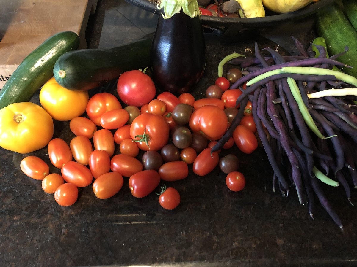 Northampton Veggie Gardeners tweet media