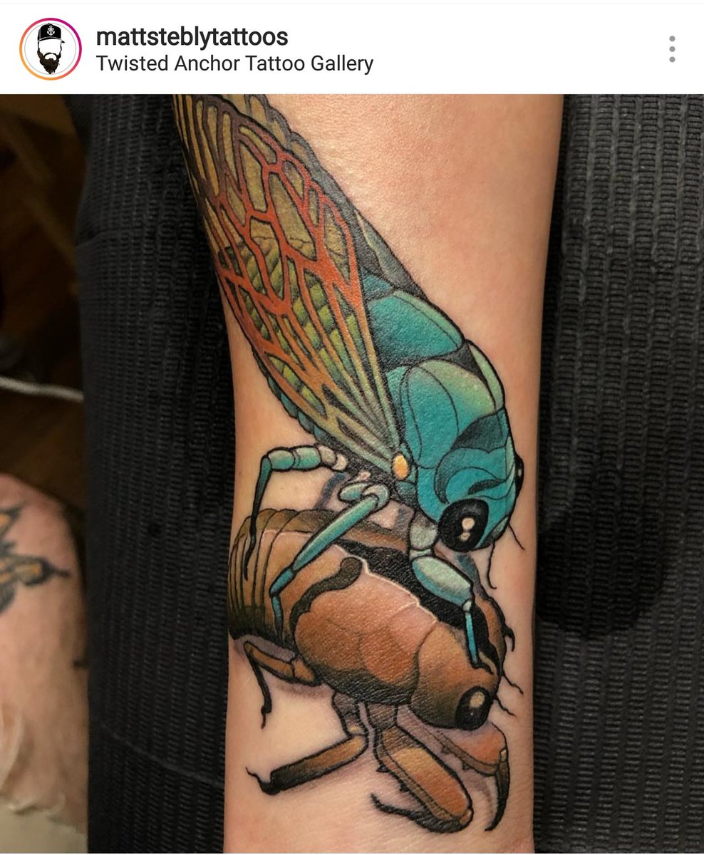 petercoffey's tweet photo. Ohmygod! This molting cicada is ๐ฅ๐ฅ๐๐ https://t.co/cNPAmDTWPN #inkbug cc @cicadamania https://t.co/VXwjNSSxU0