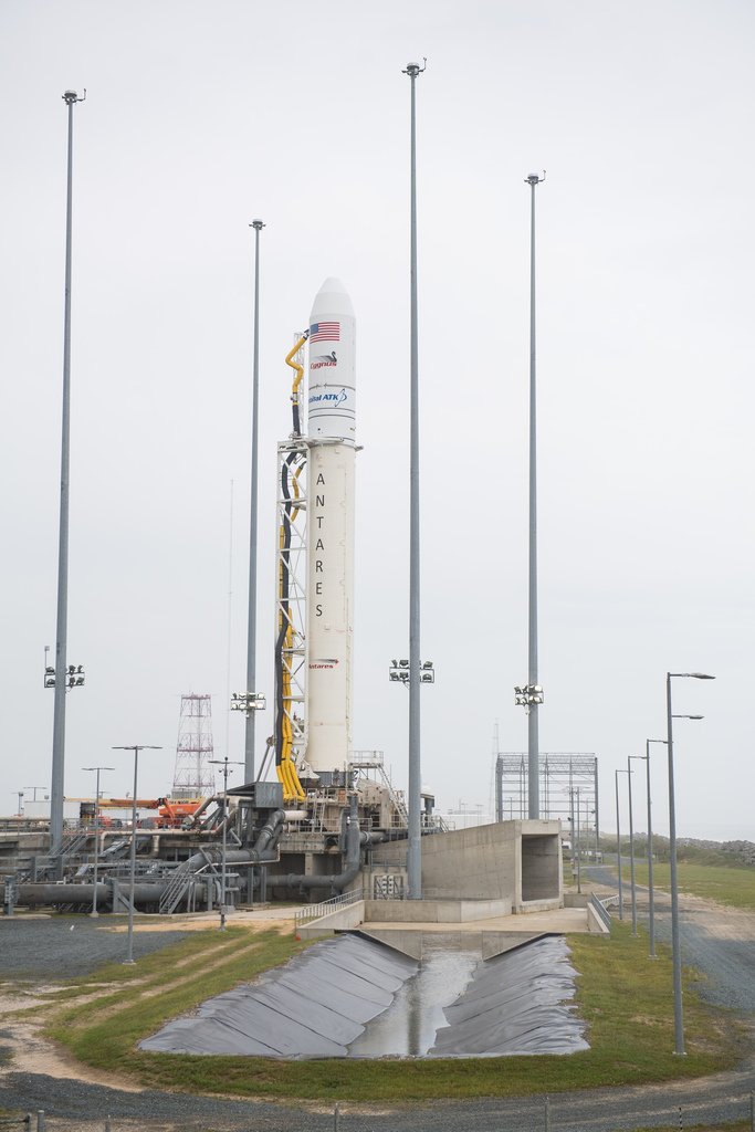wergruen's tweet photo. Antares Rocket Set to Launch NASA Science to the International Space Station via NASA https://t.co/57RMHLEiG0 https://t.co/fshKohzpyt