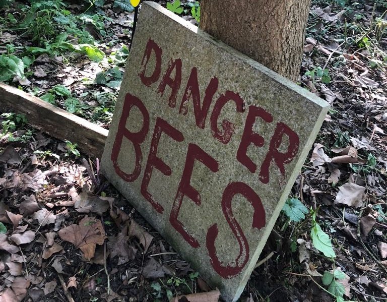 Caspar Addyman 🏳️‍🌈 tweet media