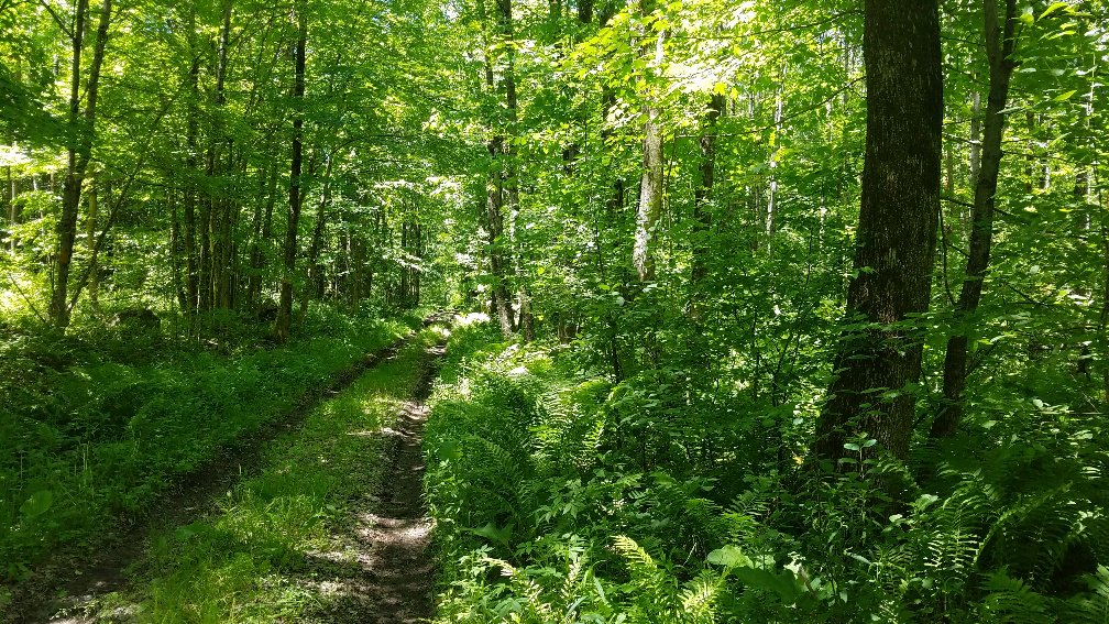 Landandcamps (Land_and_Camps) Twitter