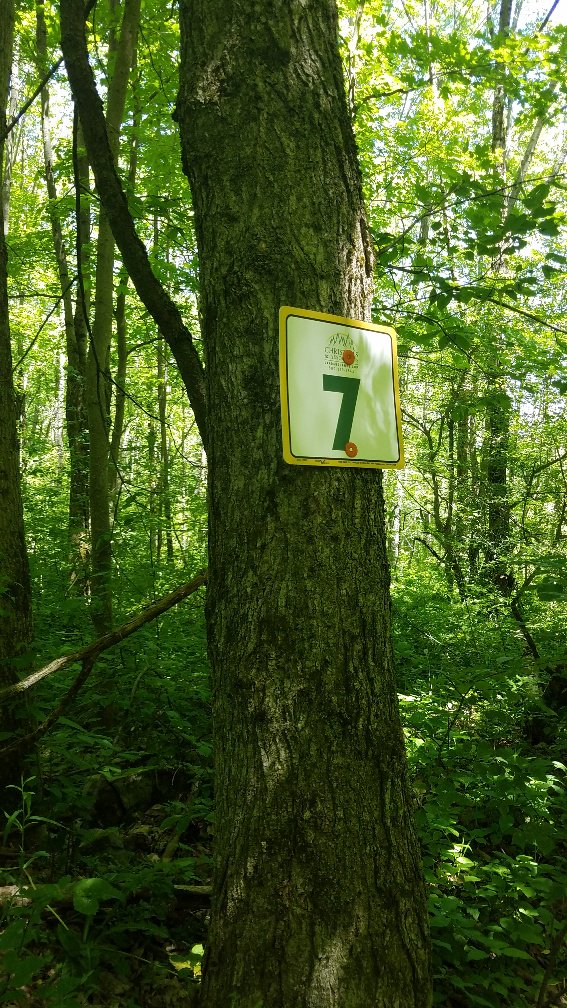 Landandcamps (Land_and_Camps) Twitter