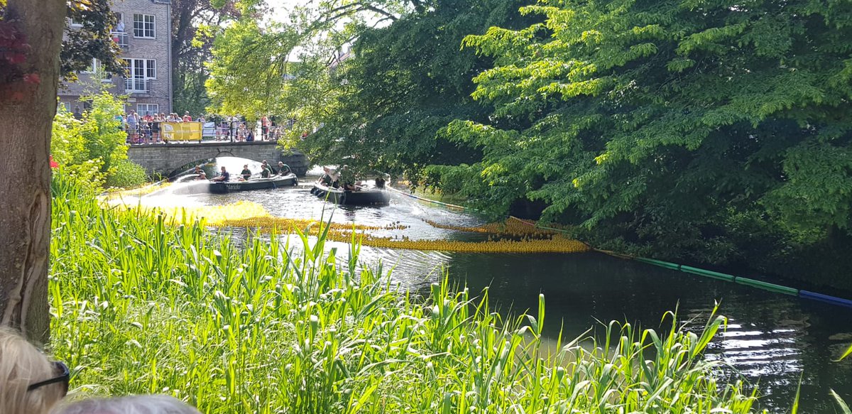 Enkele Lierse Jaycees hebben vandaag de handen uitgestoken tijdens DuckRace Rotary Lier, in het kader van onze Triple Cup. May the best duck win 😁