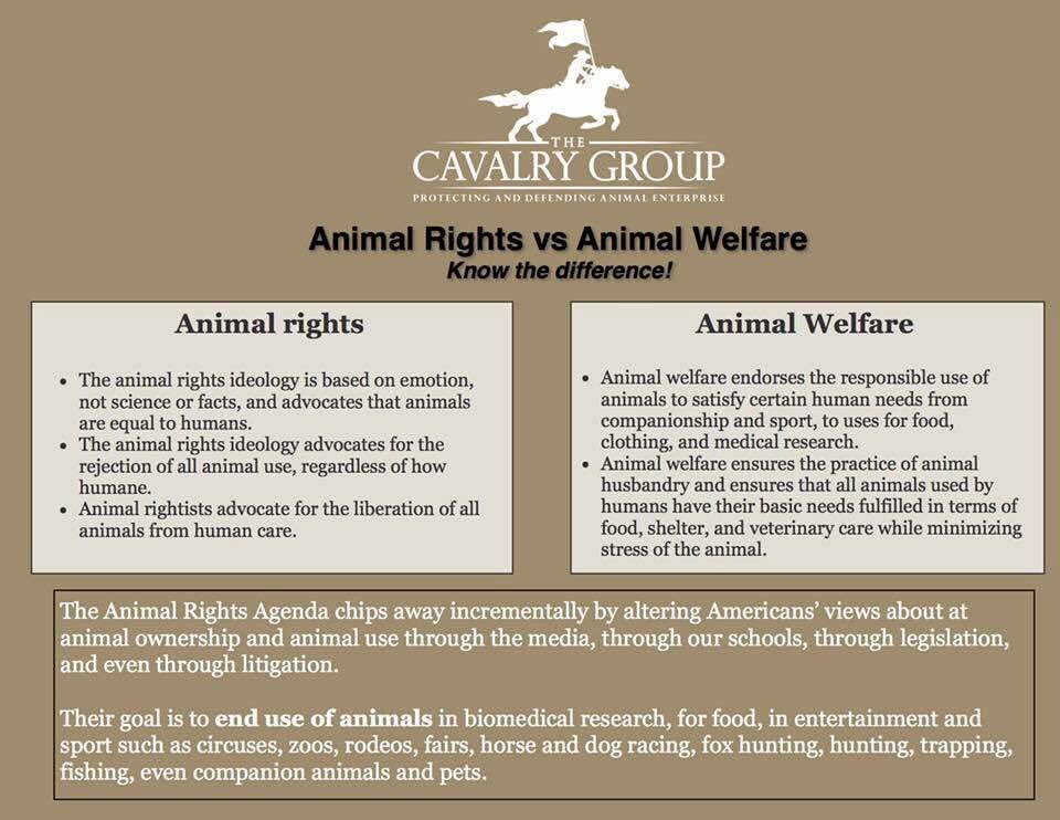 Animal Welfare Vs Animal Rights PetsWall