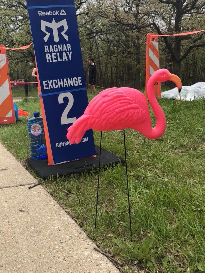 CajHansen's tweet photo. Damn! We really did it! 12 amazingly gritty runners. 4 cunning crew. 2 vans (that was a near miss). 200ish miles from Chicago to Madison. One helluva grand time! Waiting for official results, but 1st overall female team! #BirdMachineCHI 
#OisellePodiumProject #ragnarCHI2018 https://t.co/py4ubxKQ1o