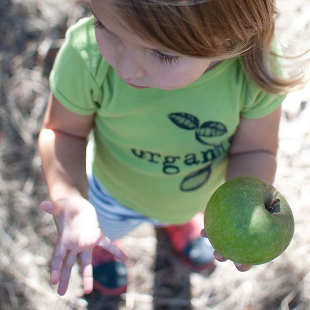 colorservices's tweet photo. Apple of my eye. I bought this tiny organic t-shirt before my first daughter was born. This is my younger daughter wearing it while we were visiting friends &amp; apple picking at @casitas_valley_farm @jbrandiphoto #organic #apple #colorservices #photography… https://t.co/IDaMjU2l1D https://t.co/DNvqpOvtai