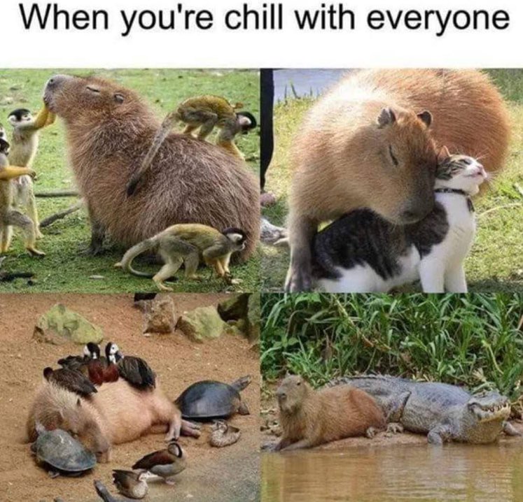 Respectful Memes tweet media