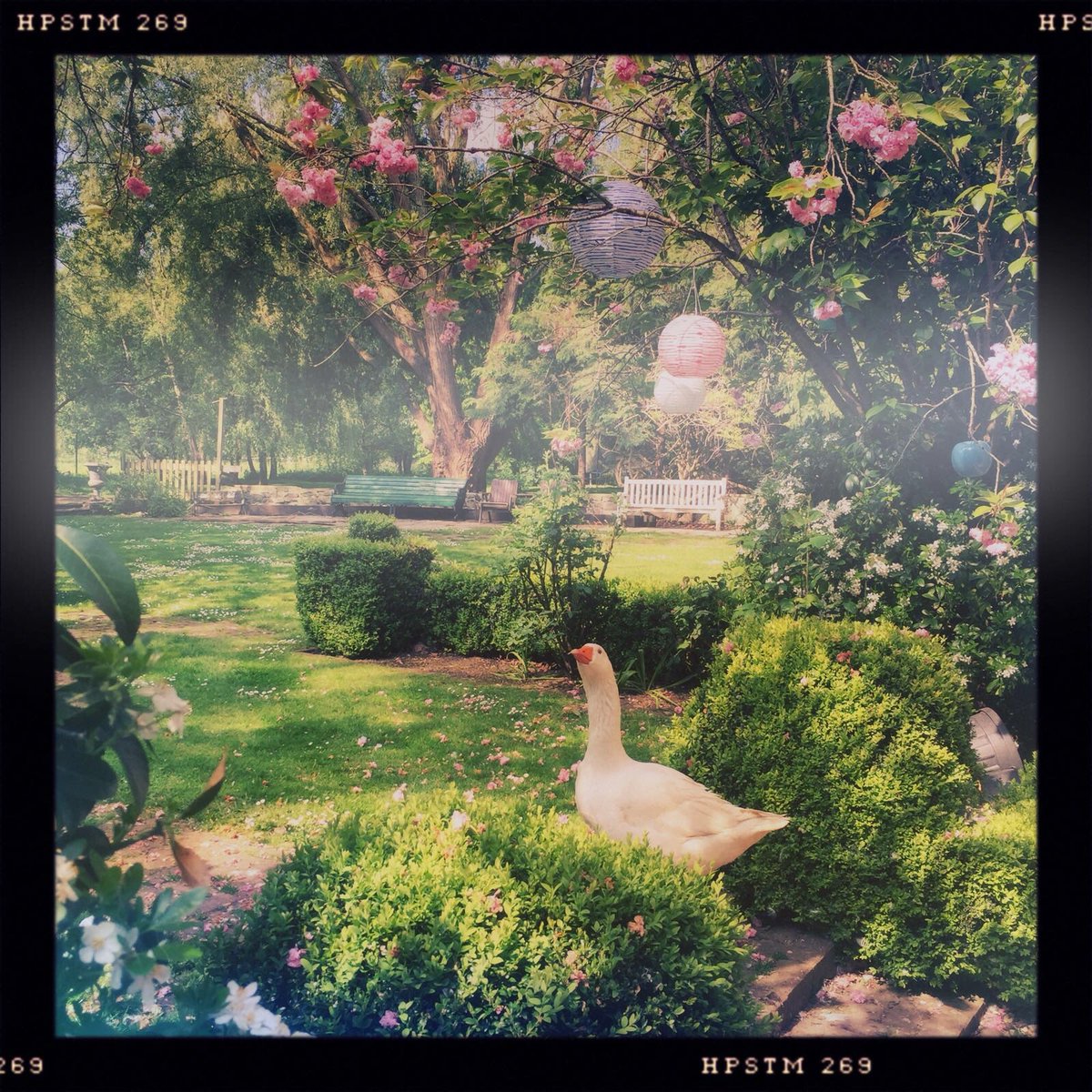 hintongrange tweet picture