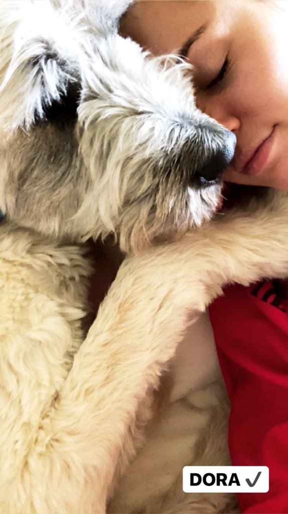 Liam Hemsworth News On Twitter New Pic Of Liamhemsworth Dog Dora That Mileycyrus Posed On Instagram Story May 20th 2018 new pic of liamhemsworth dog dora that