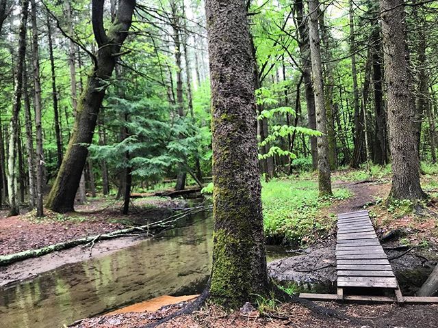 Another day, another trail. #veganoutdooradventures #veganrunner #trailrunning #shvp #strongheartsrun ift.tt/2Iw7hGN