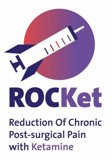 CritCareUniMelb's tweet photo. Happy #ClinicalTrialsDay from the #ROCKetTrial team @unimelb #HelpingOurHealth @ctn_anzca @UniMelbMDHS @Austin_Health @SofiaSquid @P_Peyton01 https://t.co/o78PelVkKA
