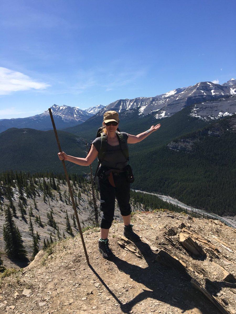 laurendanger's tweet photo. Today I hiked up Nihai Ridge, really, the spine of the first of the Rocky Mountains on the Alberta side. What did you do today?
#hiking #getoutside #oldbutnotout #mountains #Rockies https://t.co/WKU19nZAss
