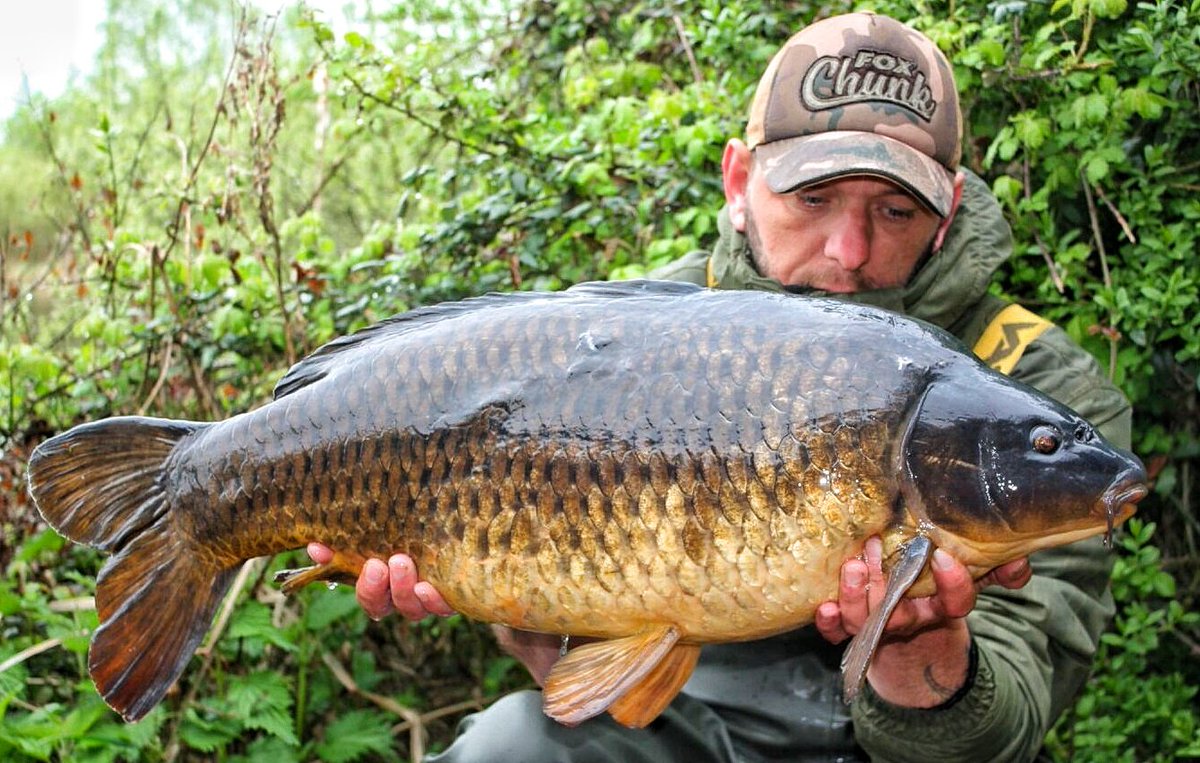 BowyerNez's tweet photo. This fish wasnt about size when they look this mint. mid 20 common from my syndicate π #DNAbaits #redifiningquality #valeroyalangling #northwestcarper https://t.co/rADMAO4JJj