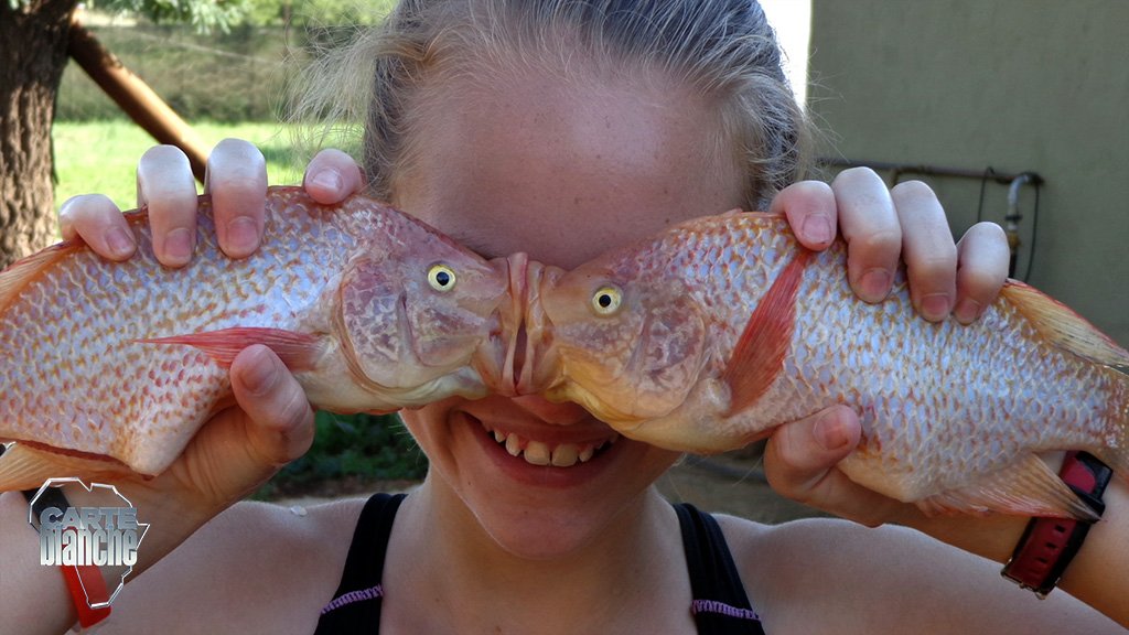 carte blanche on twitter: 