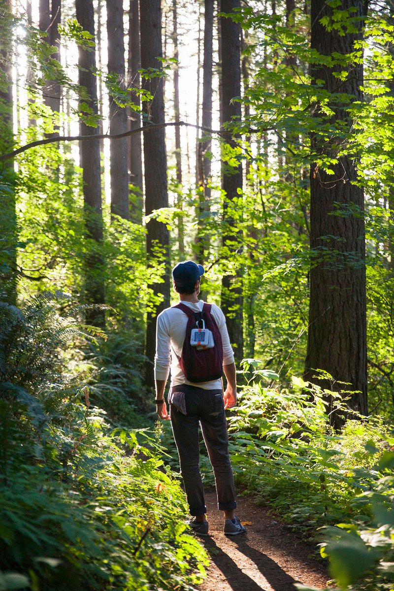 LuminAIDLab's tweet image. It's the best time to get out, explore, and make the most of the season. Do you have the gear you need to make bright memories? (Hint: there's up to 20% off LuminAID lights and chargers, just in time for Memorial Day. Snag them here: bit.ly/2wU3nlW)